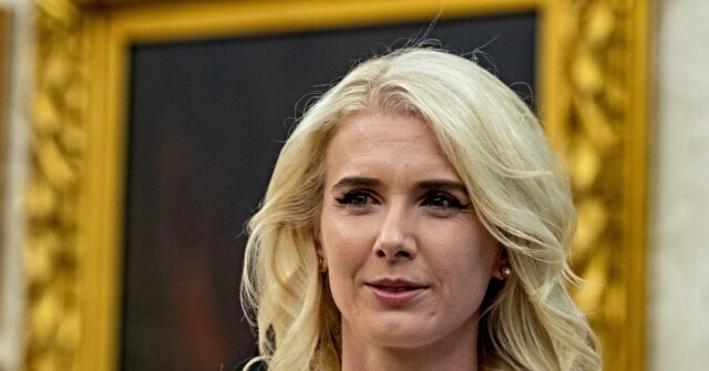 Nolte: Sleazy CNN Falsely Accuses Natalie Harp of 'Jumping Into the Trunk' of a 'Car'