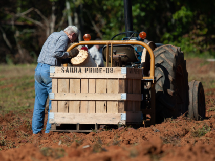 farmer working