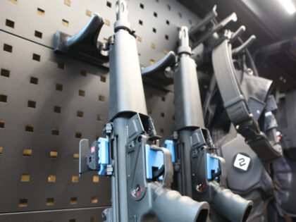 Wisconsin Appeals Court Counters County: Upholds Foster Parents’ 2A Rights