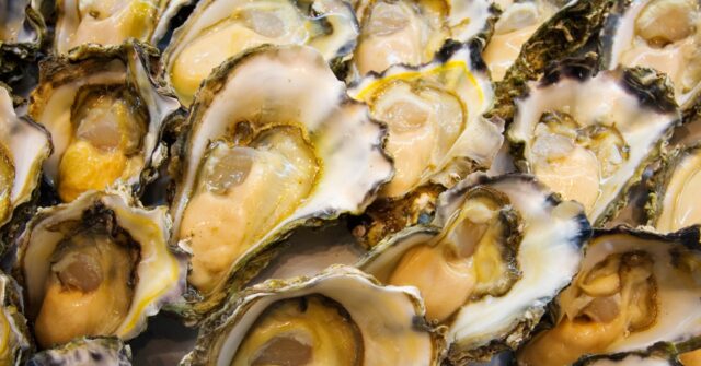 Australian Police Hunt Mollusc Marauders Who Stole 400,000+ Oysters