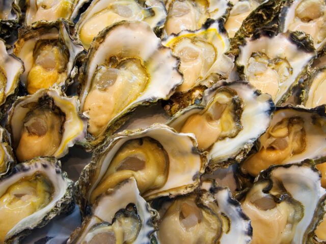 Fresh rock oysters for sale at Sydney Fish Market, Darling Harbour, Australia