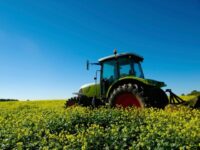 ‘Kick Rocks’: Kentucky Mother and Daughter Refuse $26 Million Offer for Family Farm fro