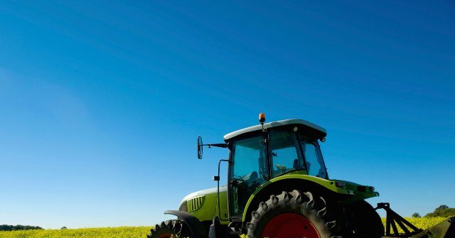'Kick Rocks': Kentucky Mother and Daughter Refuse $26 Million Offer for Family Farm from AI Data Center Developer