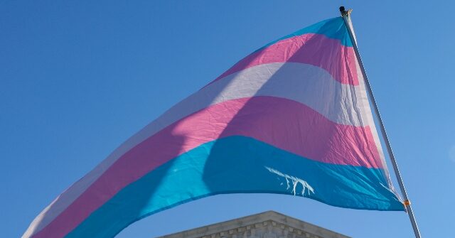 Culture Wars: Majority of Democrats Believe Differences Between Men and Women Are Not Biological