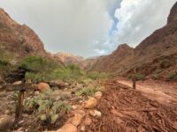Grand Canyon braces for more storms after deadly flash flood, about 15 people still missing