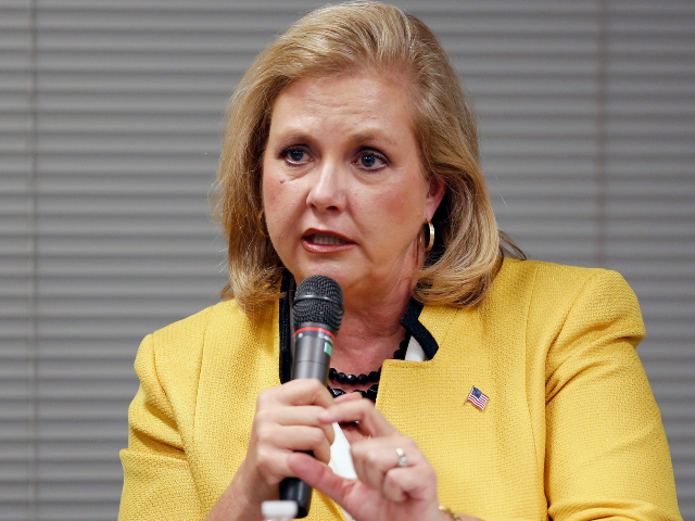 AP16208615073451 FILE - In this Nov. 3, 2015, file photo, former Missouri House Speaker Catherine Hanaway p