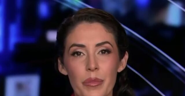 GOP Rep. Luna: DSA Congressional Hopeful Claire Valdez Pledge to 'Fight for Mexico' Is 'Embarrassing'