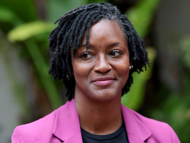 Democratic U.S. Senate candidate, Florida state Rep. Angie Nixon speaks with the media as