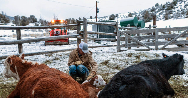 Image for CO U.S. Rep. Gabe Evans: Dem Opponent Is 'Socialist Vegan' Who 'Called for a Vice Tax on Meat, Dairy, Eggs'