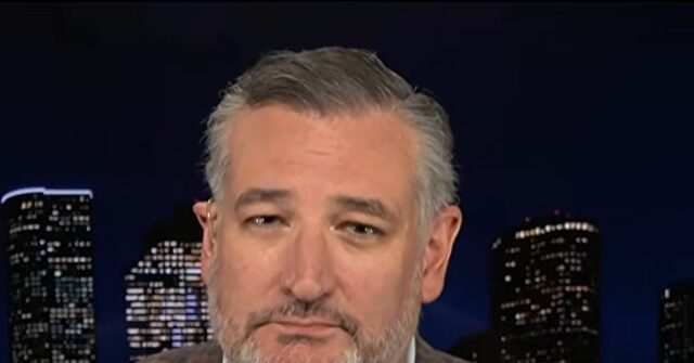 Ted Cruz Says Midterms 'Entirely a Question of Turnout,' Predicts the Left Will Turn Out