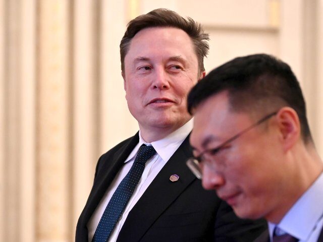 Elon Musk looking like he won