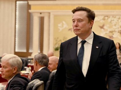 Elon Musk with a smug look