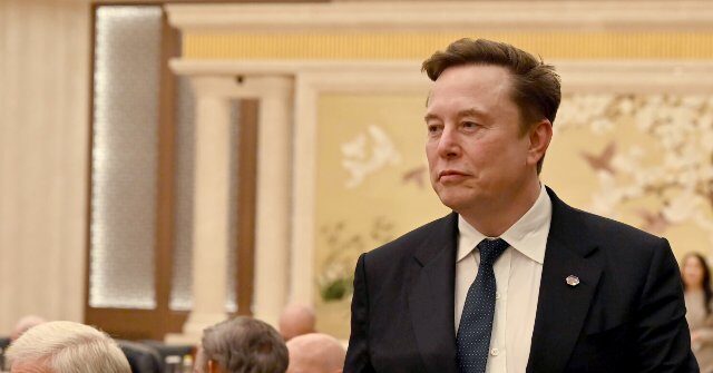 Elon Musk's SpaceX in Talks to Buy Data from Failed Startups to Train Grok AI
