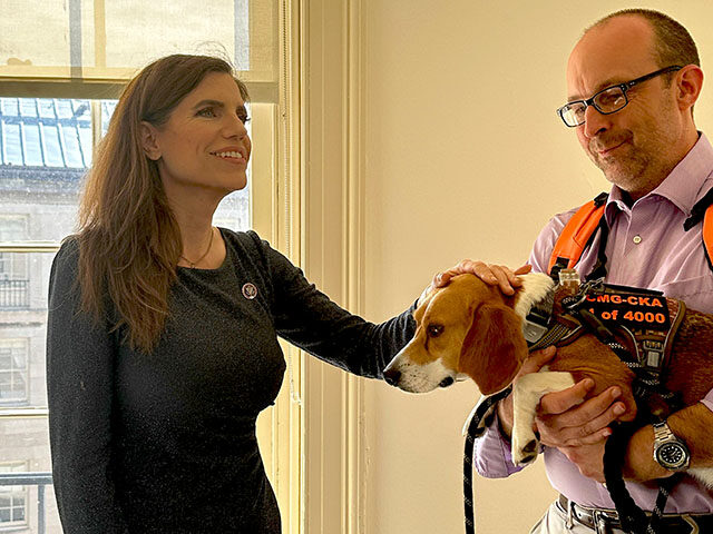 Today, we met Uno, the first beagle saved from Fauci's NIH experiments on puppies. Th