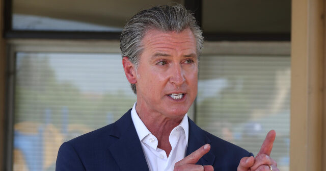 CA Gov. Newsom Signs 'No Kings Act,' Making It Easier to Sue ICE Agents