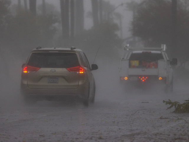 PALM DESERT, CALIFORNIA - AUGUST 20: Palms are hit by strong wind and rain from Tropical S