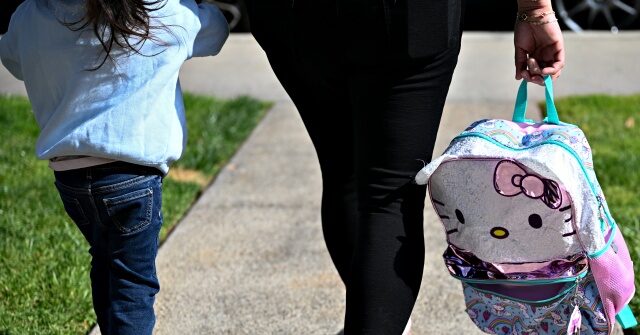 Immigrants from Somalia, Afghanistan, Syria Charged with $10 Million California Daycare Fraud Scheme