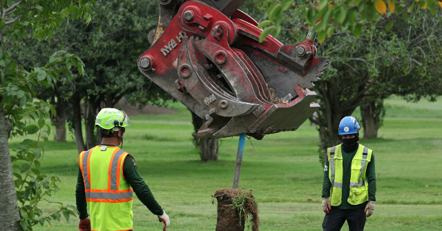 Exclusive: Trump's Washington, DC Beautification Continues with East Potomac Park Cleanup