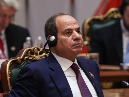 In this pool photograph distributed by the Russian state agency Sputnik, Egypt's President