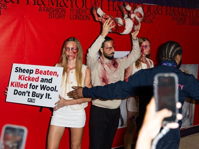 PETA Protesters Crash H&M Runway Show in London