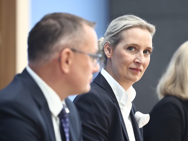 Alice Weidel, AfD federal spokesperson and co-chair of the AfD parliamentary group, Tino C