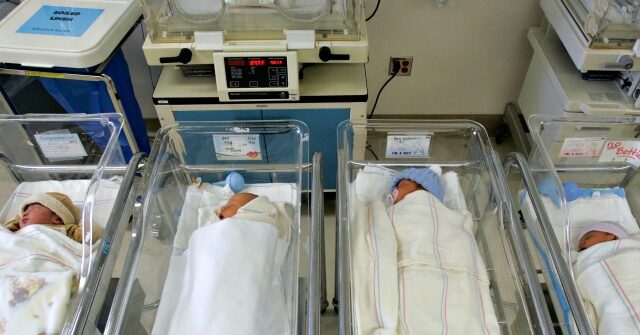 Expert Testimony: Up to 300K Babies Born to Foreign Tourists in U.S. Over Last Decade