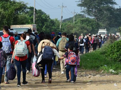 Report: Foreign-Born Population in U.S. Shrinks by 2.9 Million amid Trump Crackdown