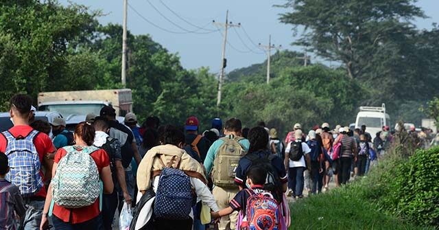 Report: Foreign-Born Population in U.S. Shrinks by 2.9 Million amid Trump Crackdown