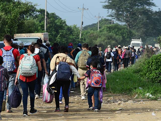 Report: Foreign-Born Population in U.S. Shrinks by 2.9 Million amid Trump Crackdown