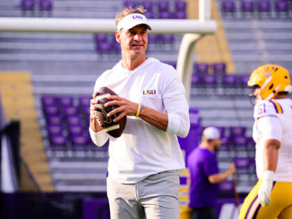 Gus Stark_LSU_University Images via Getty Images (1)