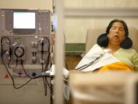 Medical First: Man Lives for 9 Months with Pig Kidney While Waiting for Human Donor