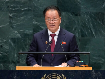 Vice Minister for Foreign Affairs of the Democratic People's Republic of Korea, Kim S
