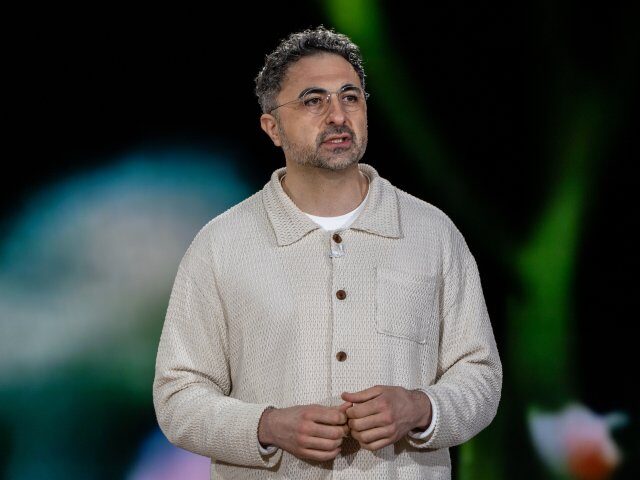 Microsoft AI boss Mustafa Suleyman