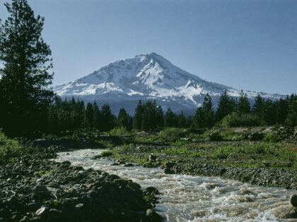 Mount Shasta