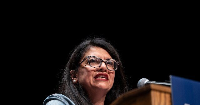 House Passes 'Ratepayer Protection Act' 417-3 to Address AI Data Centers, Rashida Tlaib Votes Against It