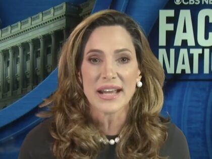 Rep. Maria Elvira Salazar