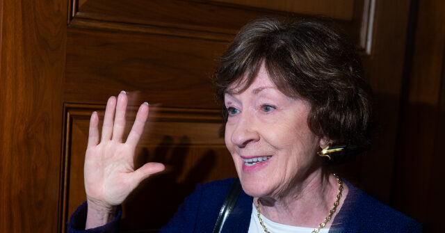 Susan Collins Continues to Lead Maine Senate Polls