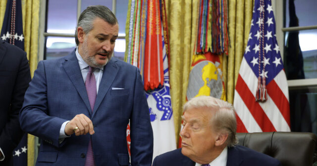 Ted Cruz Declares Himself Leader of Opposition to Trump Dividends: ‘I Don't Think We Should’