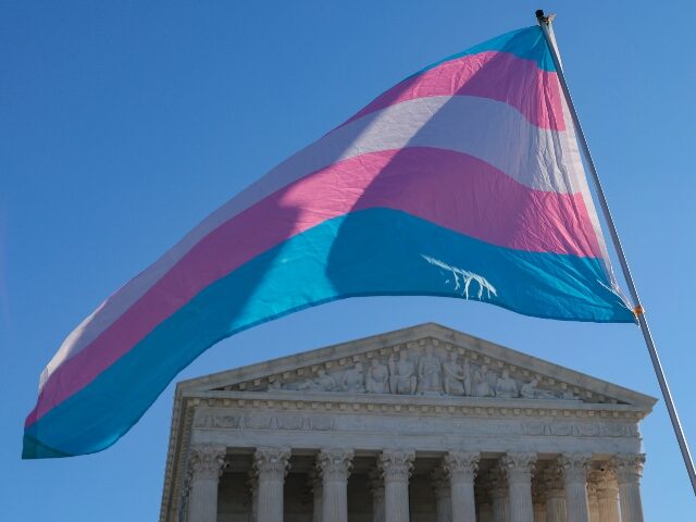 WASHINGTON, DC - JANUARY 13: Protesters supporting transgender athletes competing in women