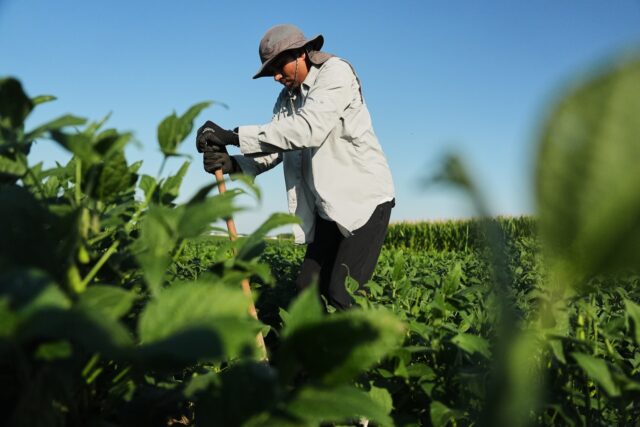 Climate Roots Carbon Capture The Associated Press
