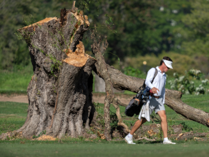 A golfer walks past the stump of a large tree at the East Potomac Golf Links, Monday, Oct.