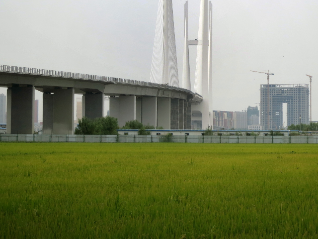 China Opens Long-Delayed Bridge to North Korea After Years of Diplomatic Strain