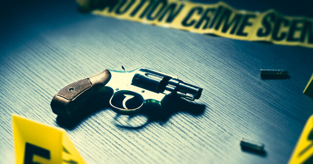 Mexico: Mother Fatally Shoots Her Partner and 3 Sons, Then Kills Herself
