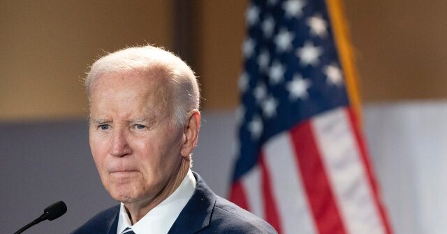 Inspector General: Joe Biden's DHS Knowingly Allowed Millions of Visa Overstay Illegal Aliens to Remain in U.S., 'Including Those Deemed High Risk to National Security'