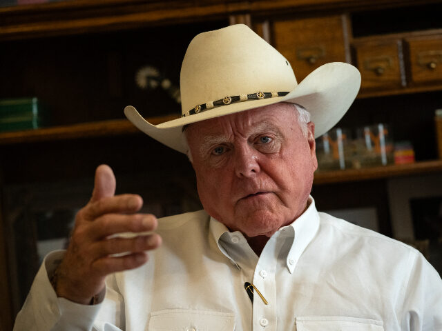 GettyImages-2295330488 (1) Texas Ag Commissioner Bans Grants to Companies Hiring H-1B Visa Holders (Photo by RONALDO