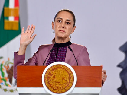 Mexican President: No Evidence of Cartel Shooting at Texas Border (Jeannette Flores/Obtura