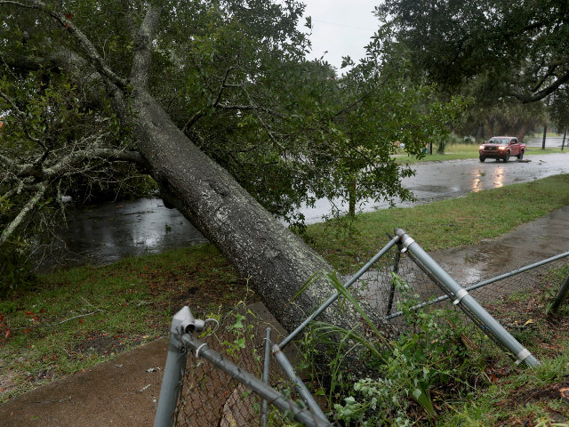 PENSACOLA, FLORIDA - OCTOBER 09: A fallen tree blocks a street as wind and rain from Hurri