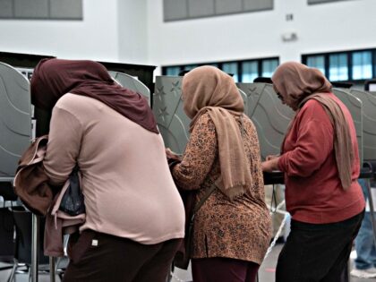 People fill their ballots in early voting for the midterm elections on October 25, 2026 in