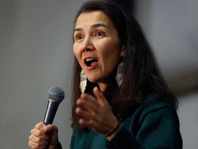 Report: Dozens of Democrats Silent on Alaska Election Rigging While Calling GOP a 'Threat to Democracy'