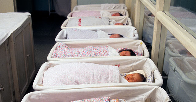 Brandon Gill: If Dems Control House, Birth Tourism Investigations Will End